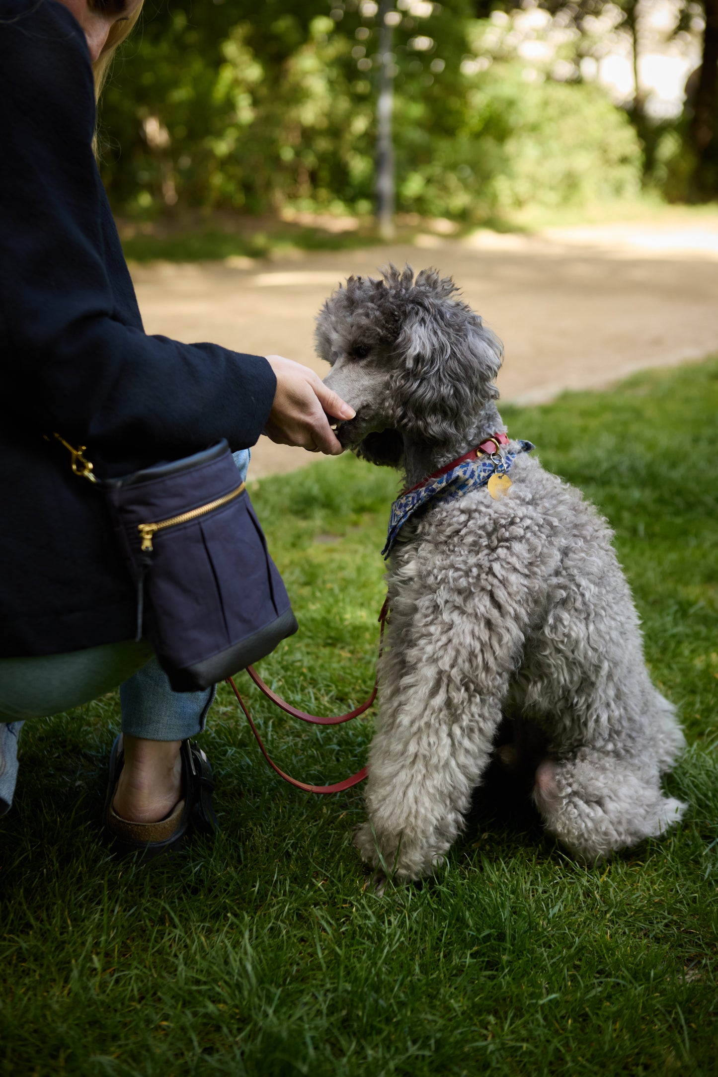 Doggy Bag